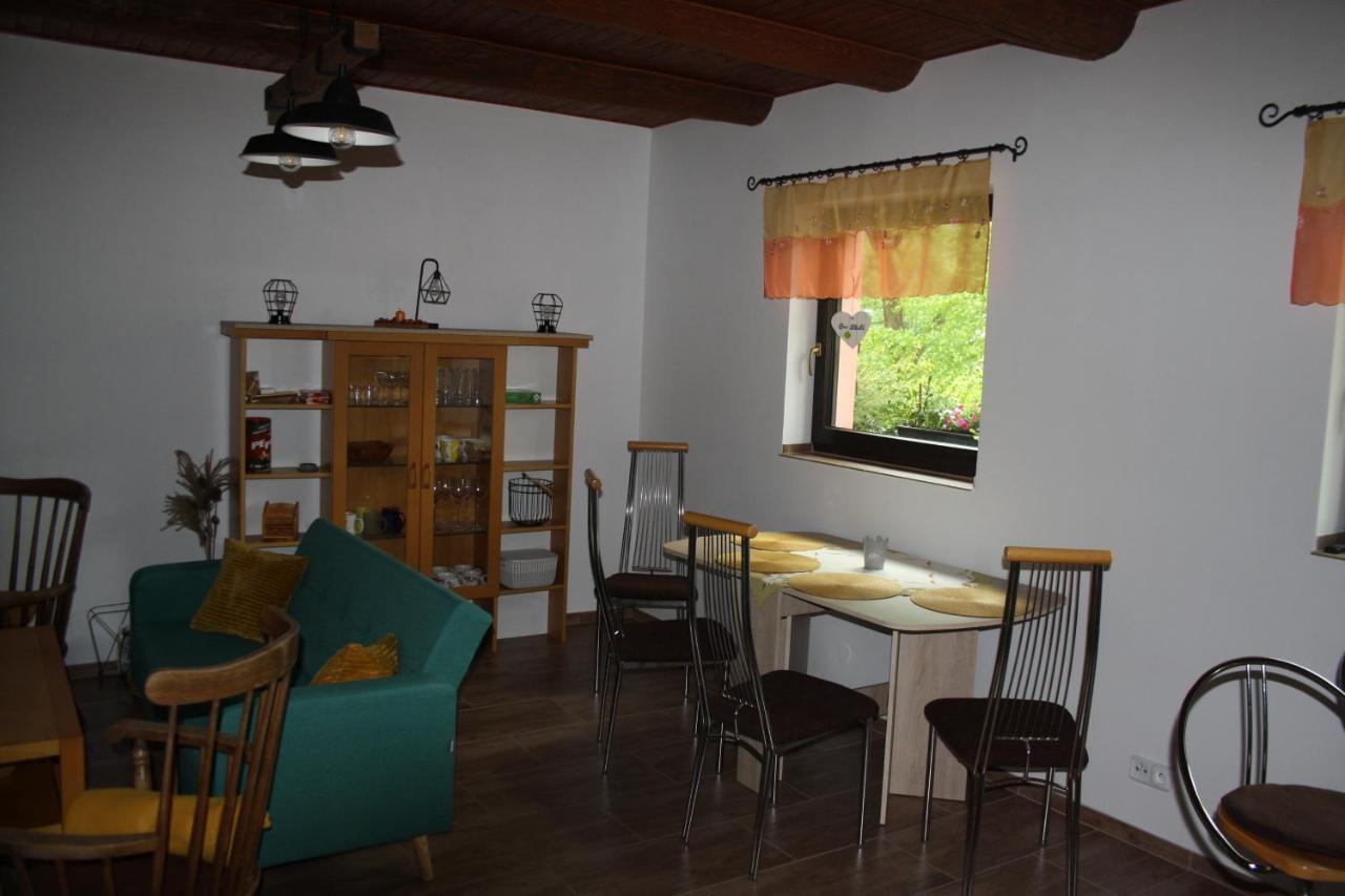 Chata Na Rece Sazave Samopse Exterior photo